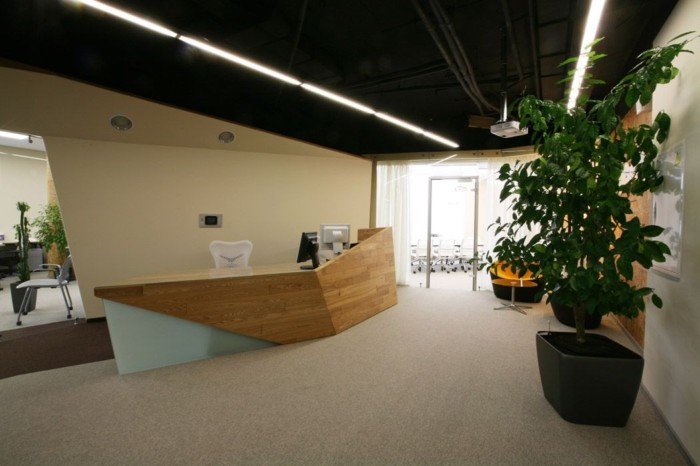 办公室绿色植物